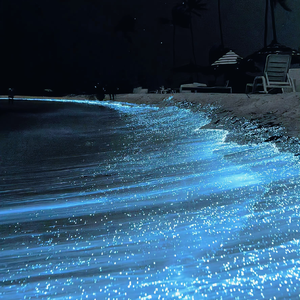 国产精品成人三级在线影院
